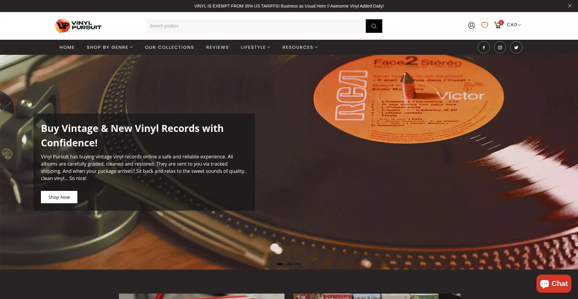 Website screenshot of Vinylpursuit.com