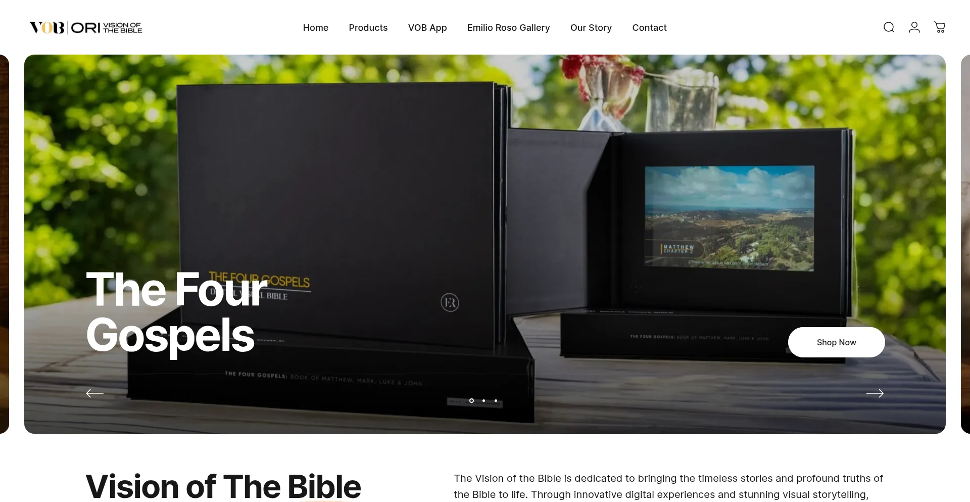 Website screenshot of Visionofthebiblestore.com