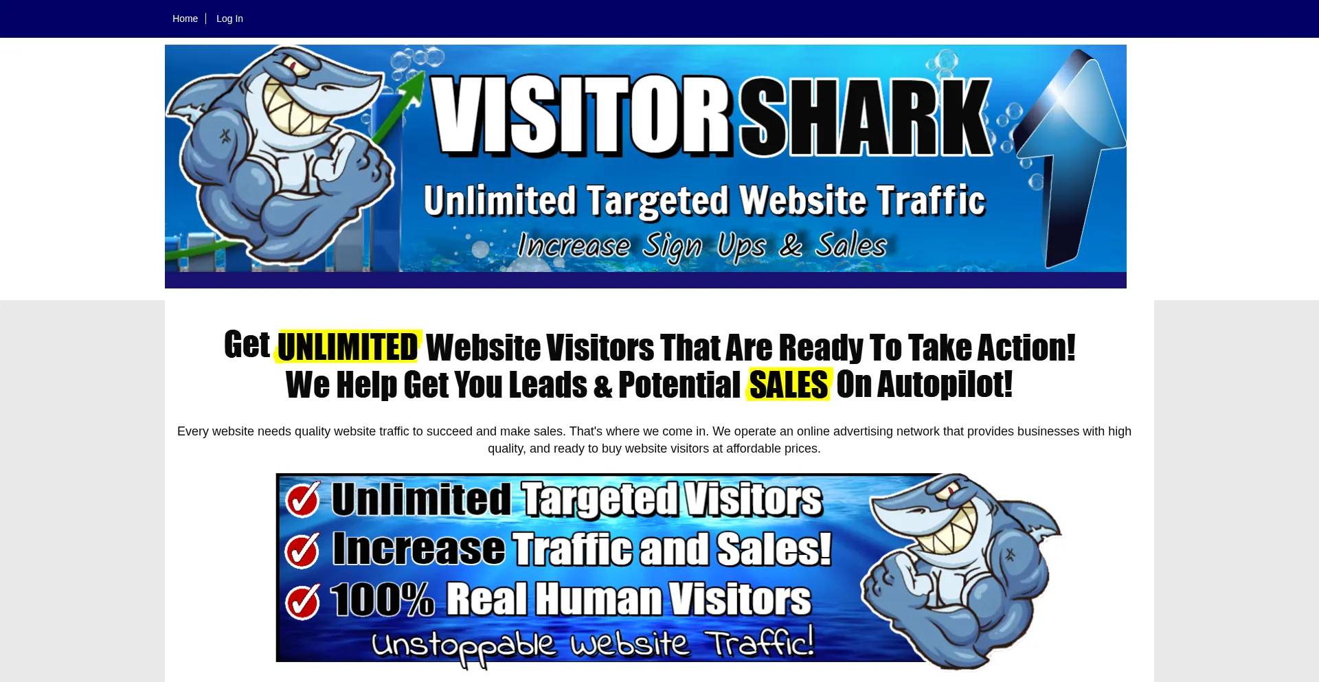 Website screenshot of Visitorshark.net