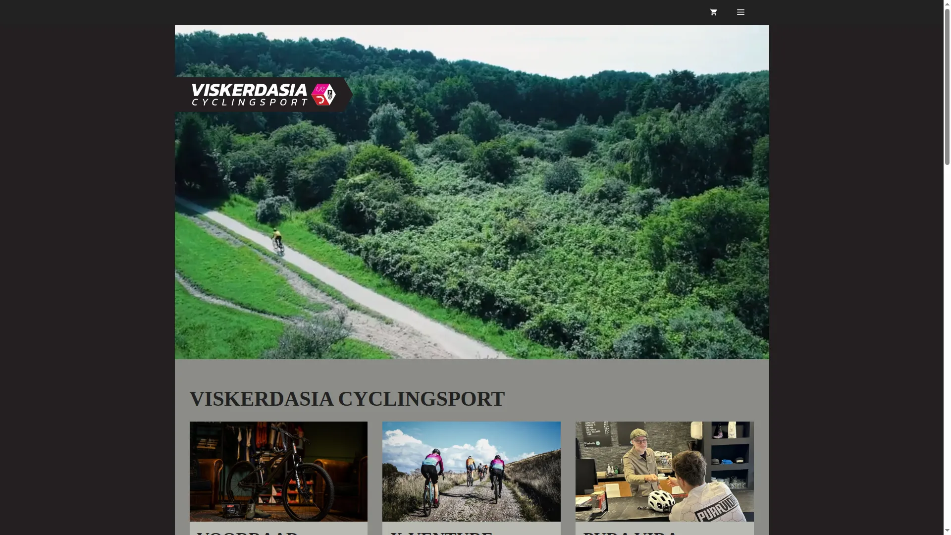 Viskercycleshaarlem.pro