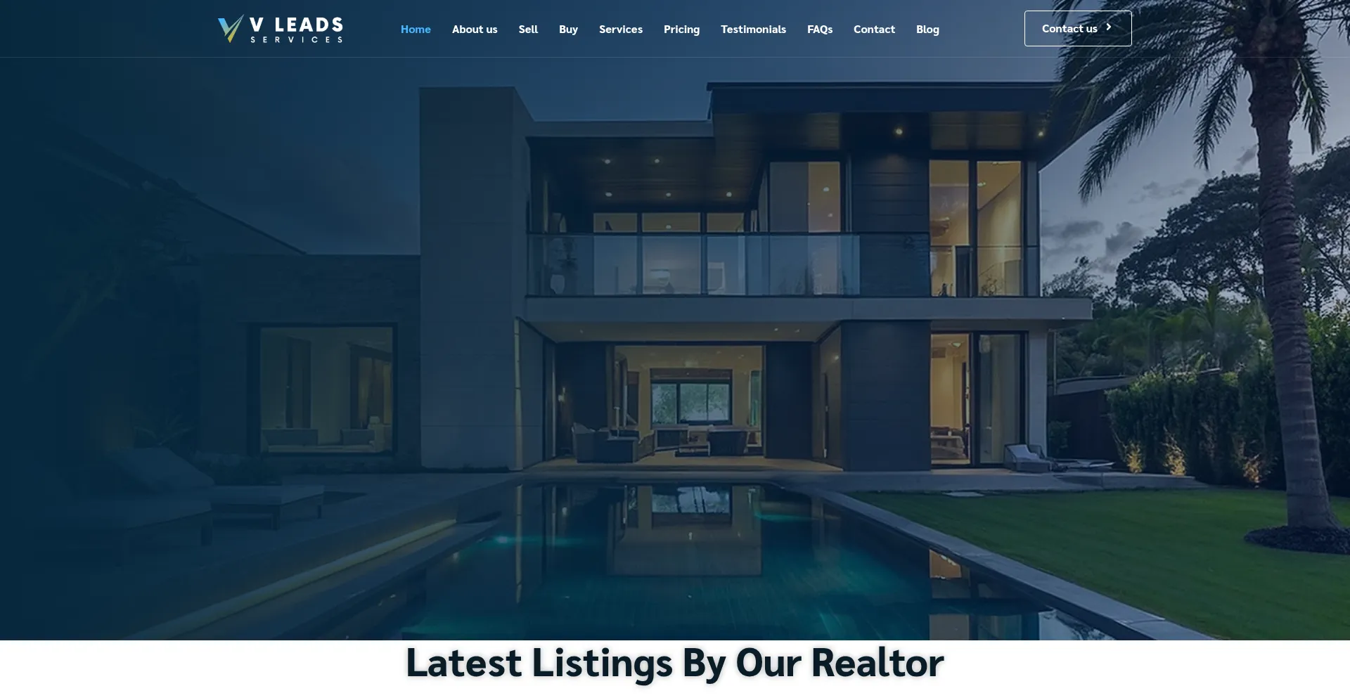 Website screenshot of Vleadservice.com