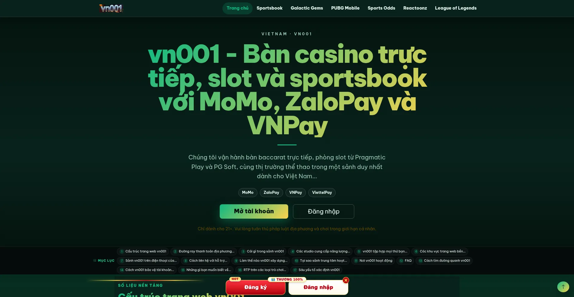 Vn001.net