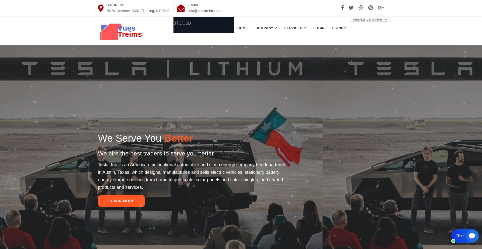 Website screenshot of Vuestreims.com