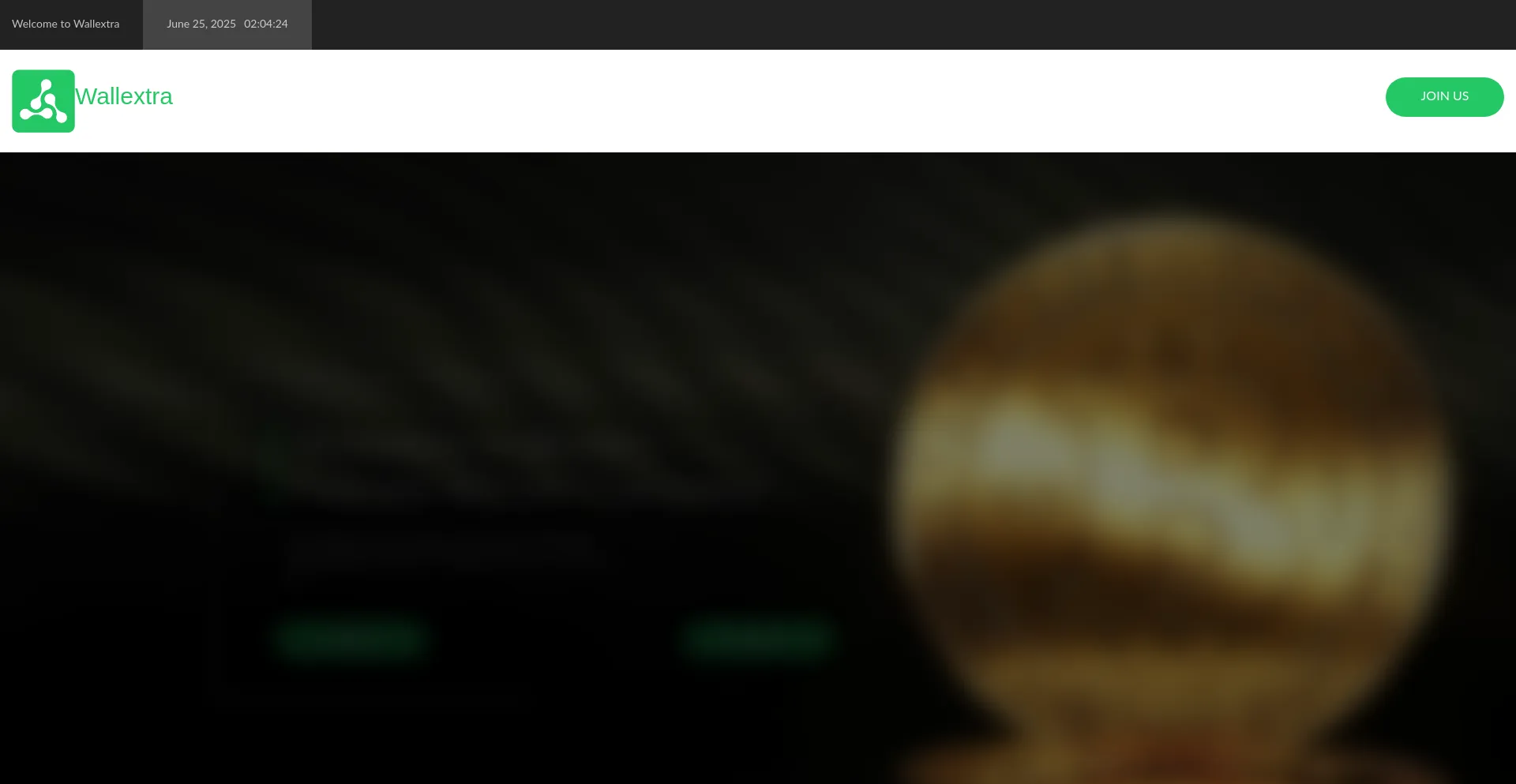 Website screenshot of Wallextra.io