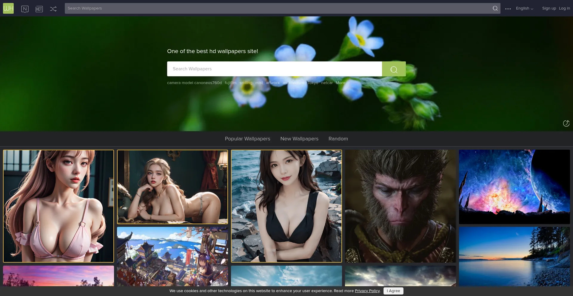 Wallhere.com