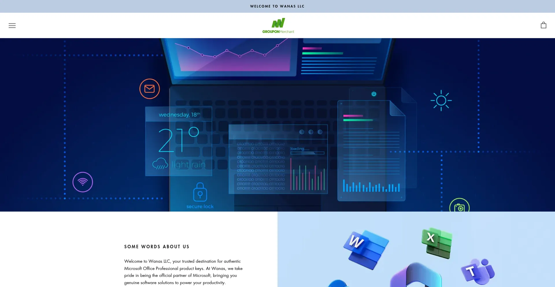 Website screenshot of Wanasllc.com