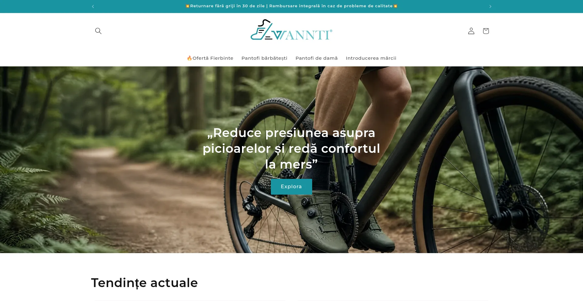 Wannti.com