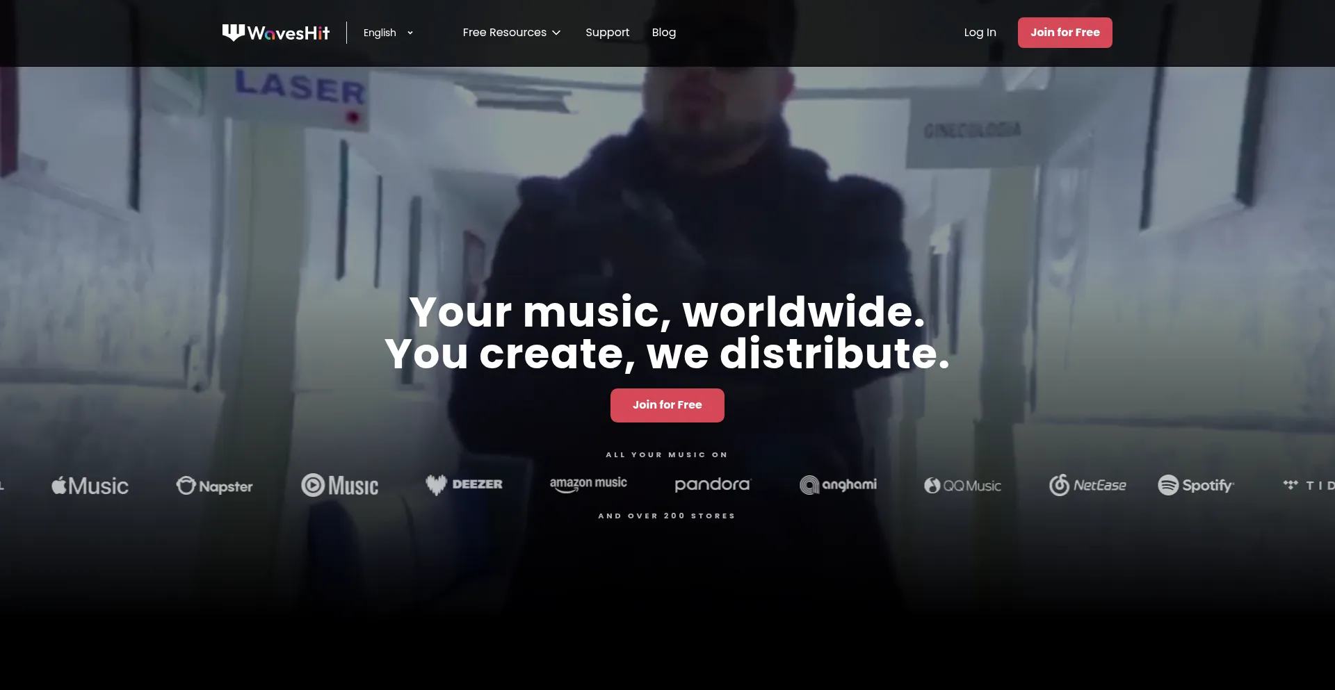 Website screenshot of Waveshit.com