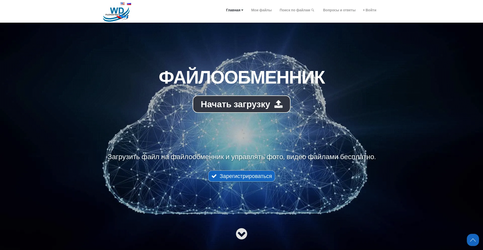 Website screenshot of Wdho.ru