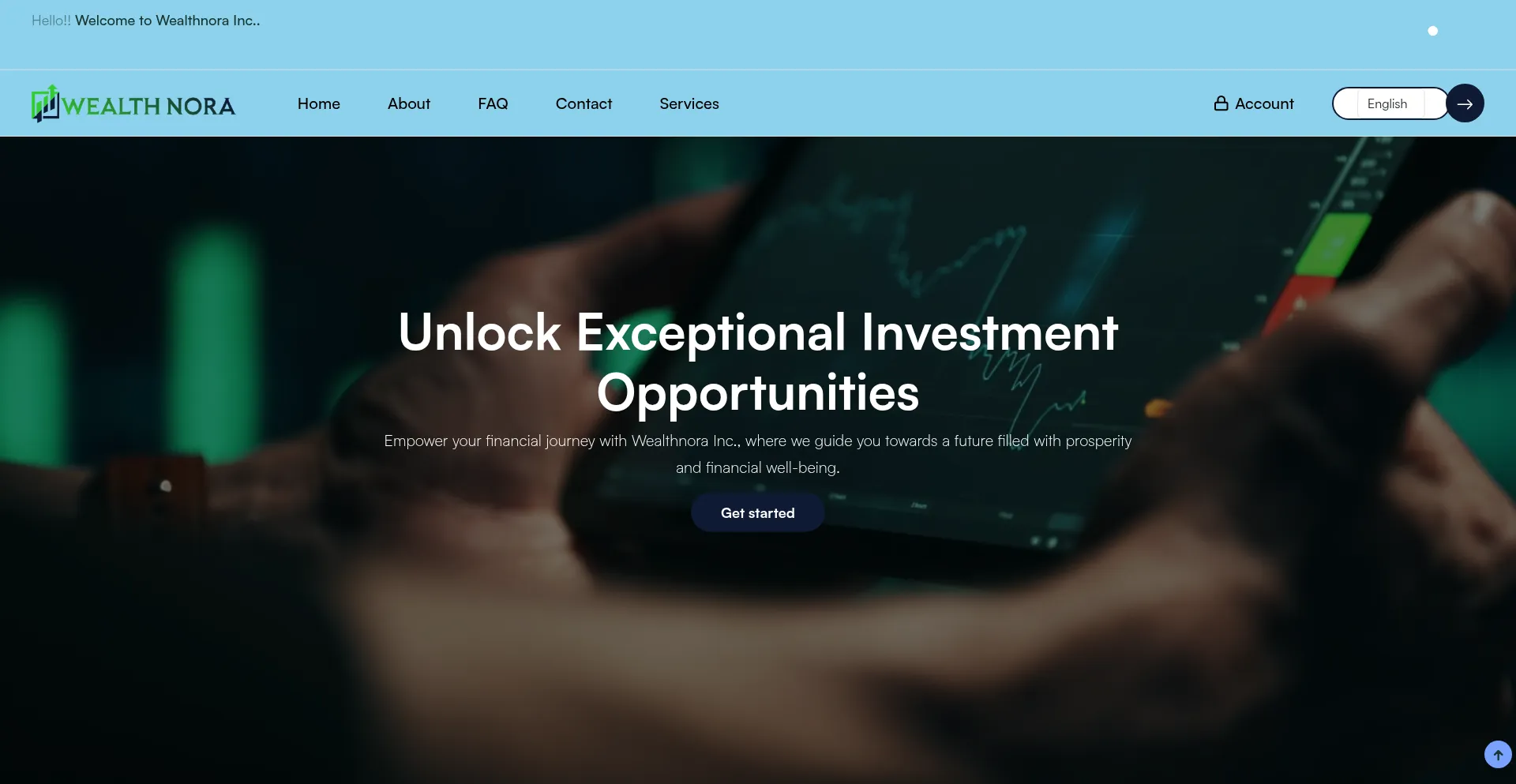 Website screenshot of Wealthnora.com