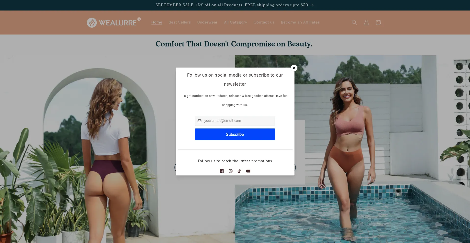 Website screenshot of Wealurre.com