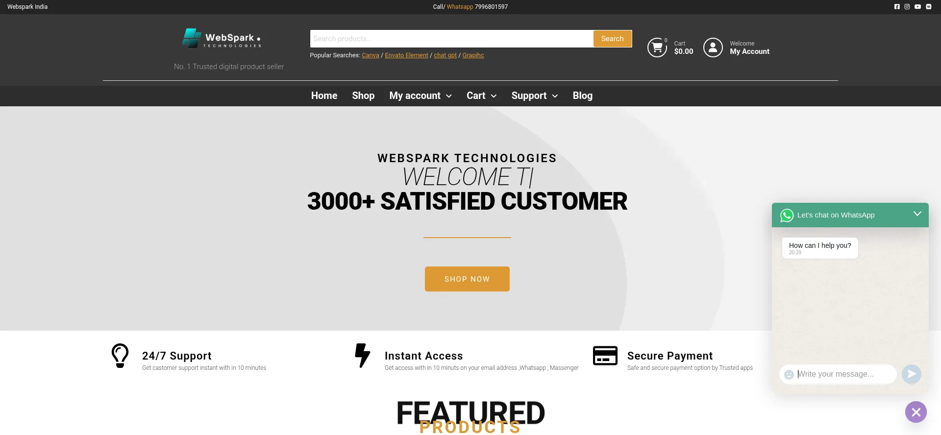 Website screenshot of Websparkstore.com