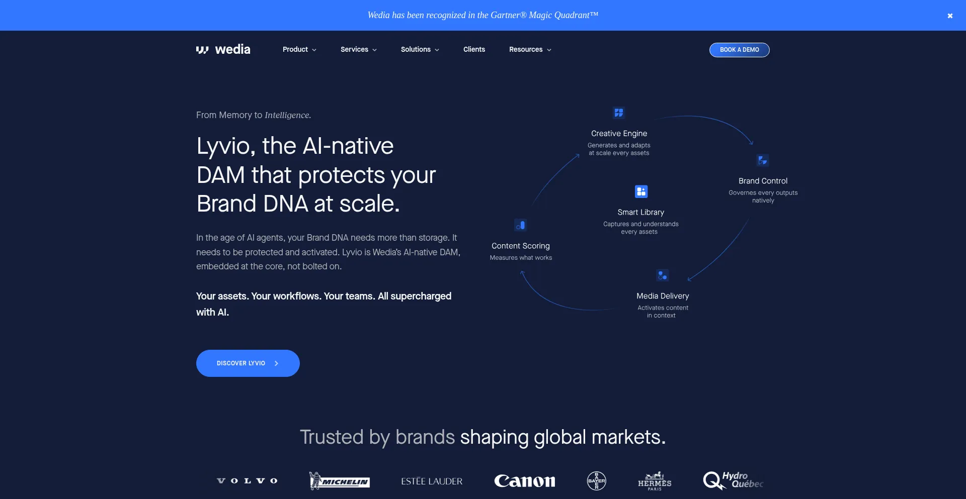Wedia-group.com