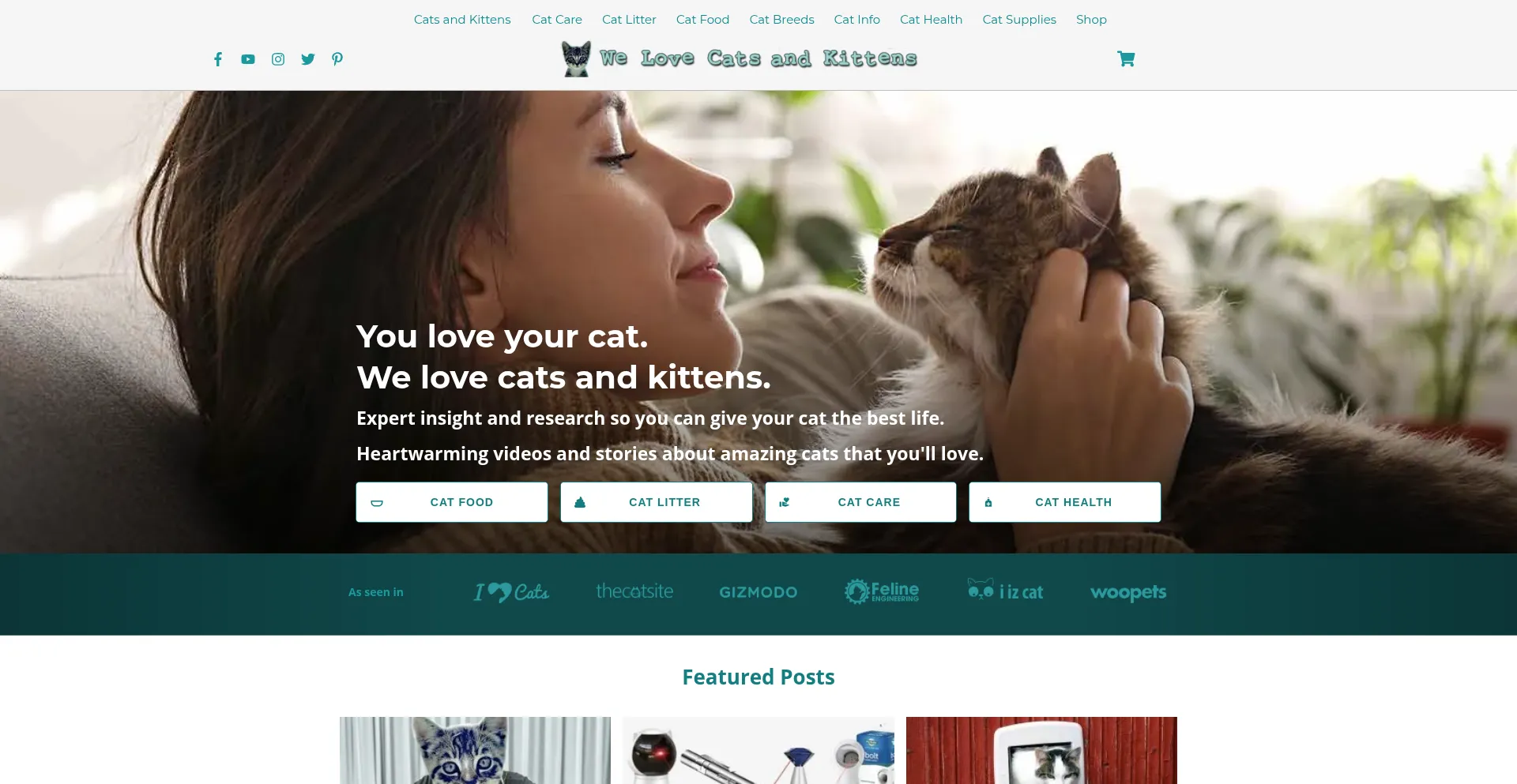 Website screenshot of Welovecatsandkittens.com