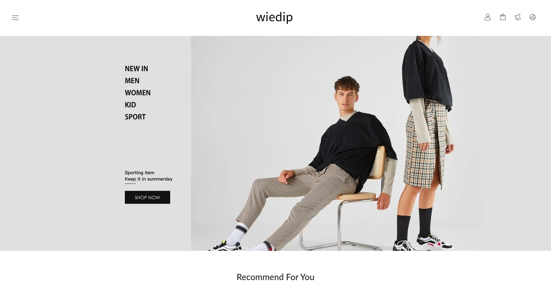 Website screenshot of Wiedip.com