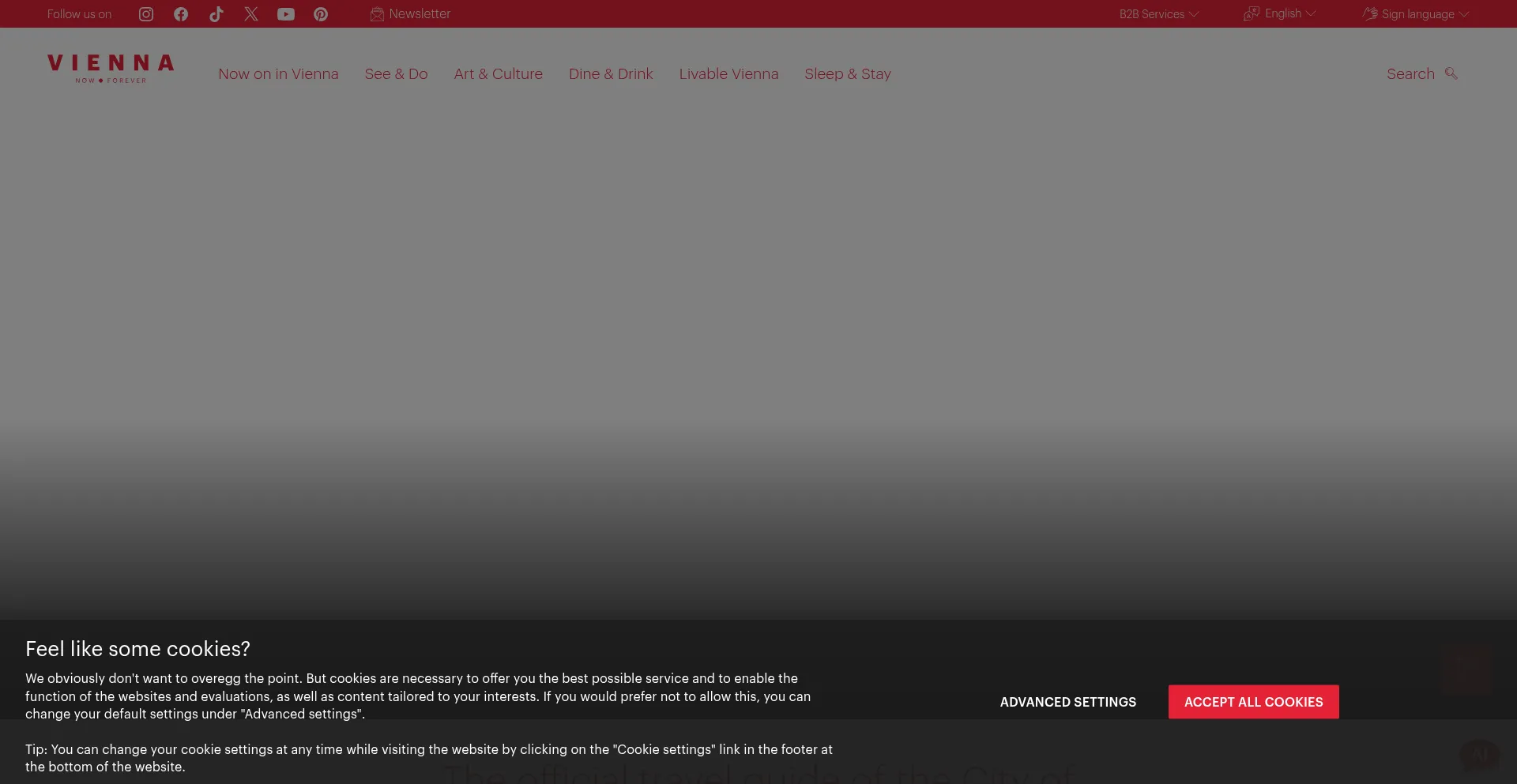 Website screenshot of Wien.info