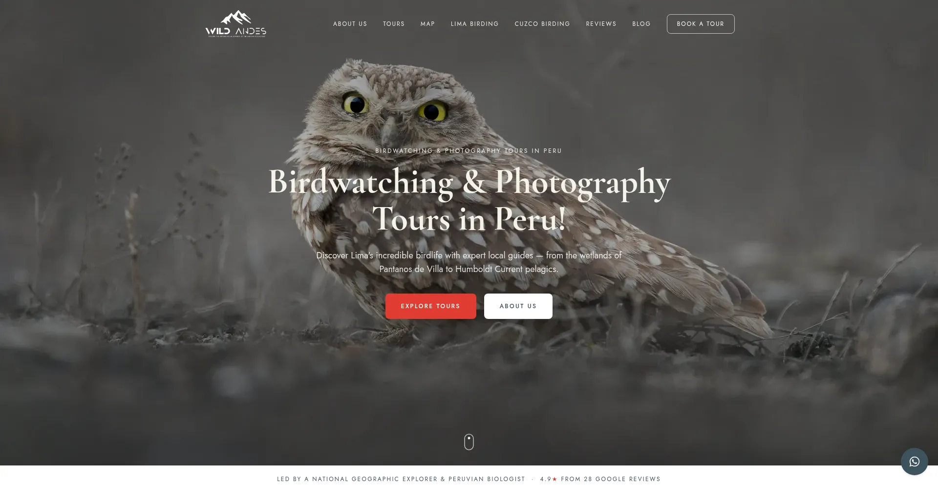 Wildandestours.com