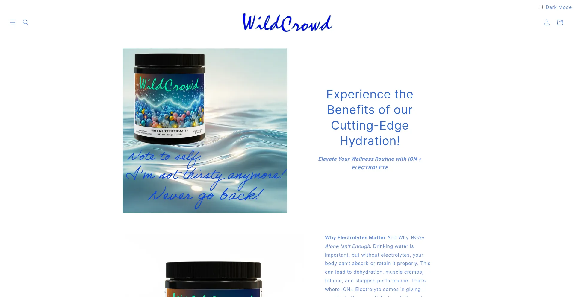 Website screenshot of Wildcrowd.com