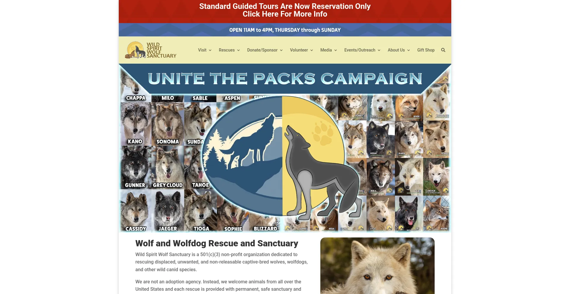 Wildspiritwolfsanctuary.org