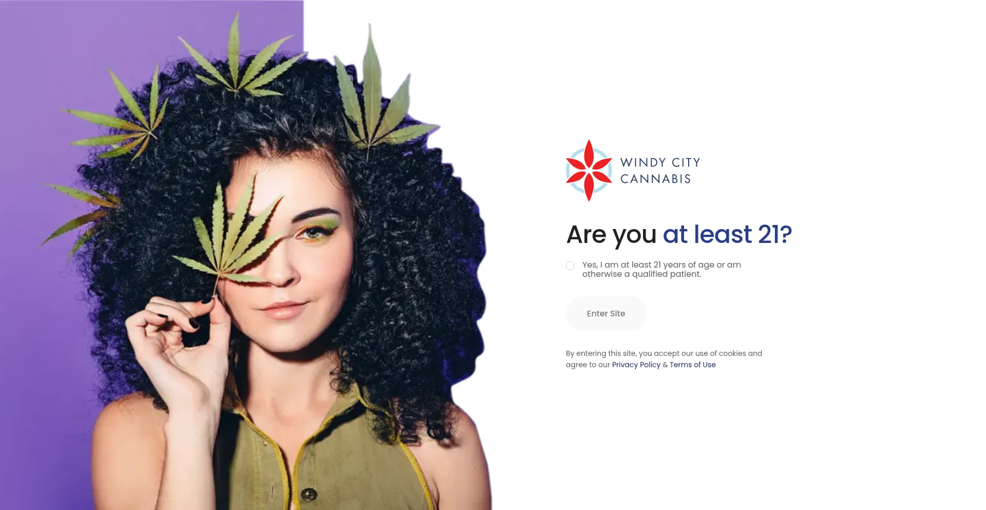 Windycitycannabis.com Screenshot