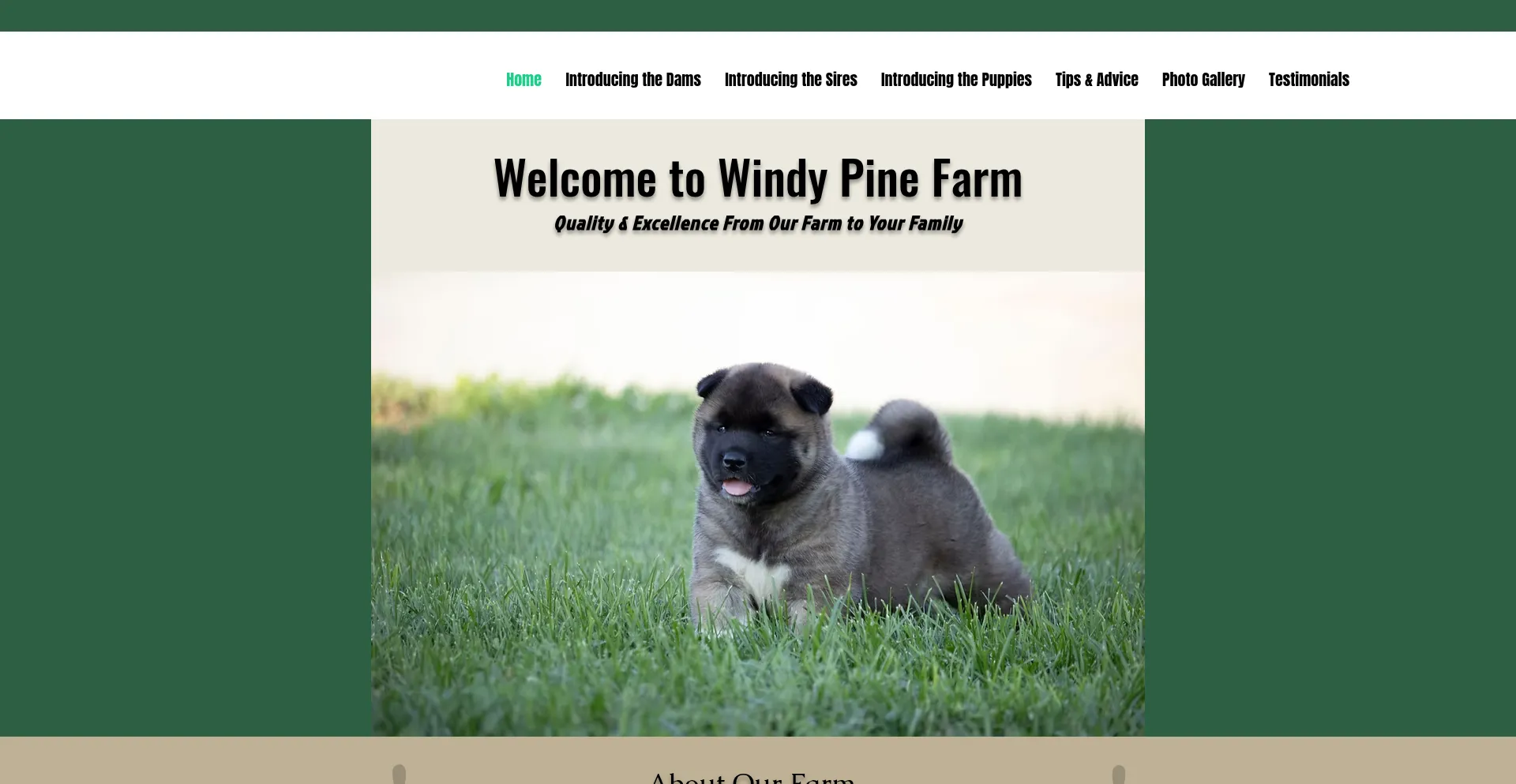 Windypinefarm.com est-il Sûr et Fiable ?