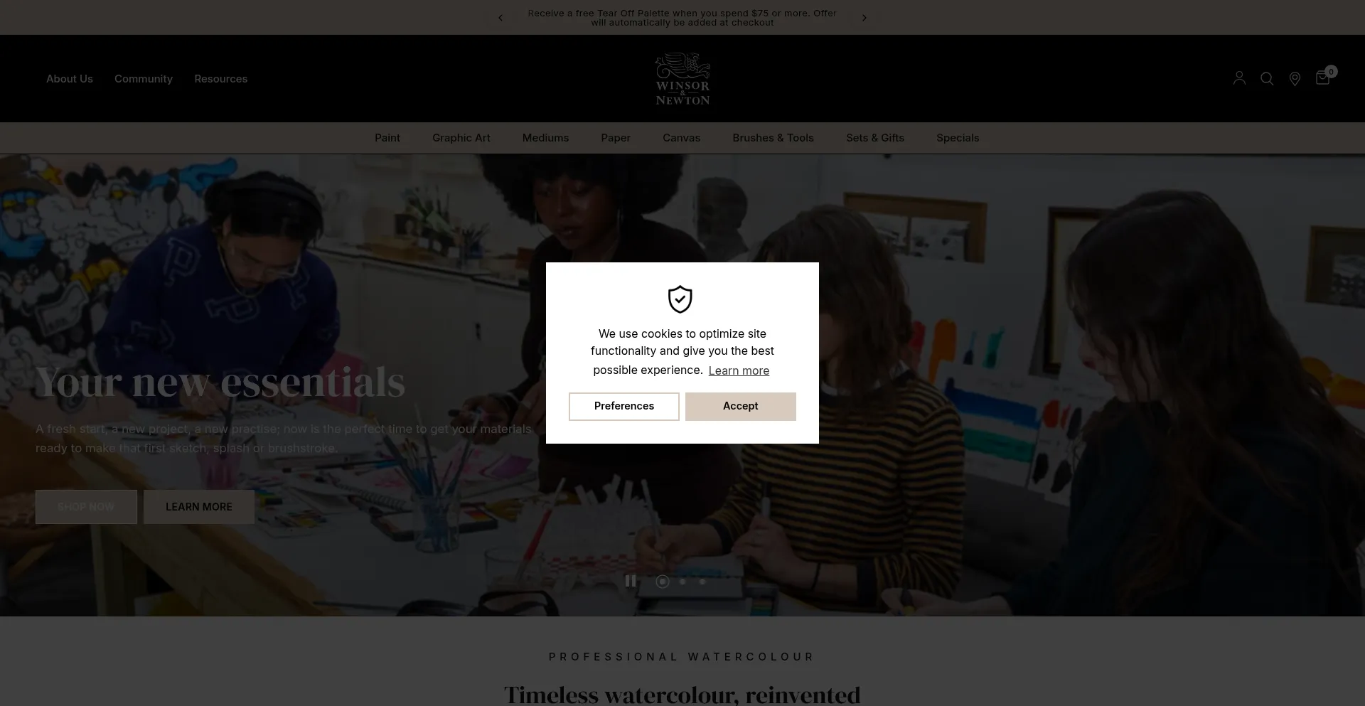 Website screenshot of Winsornewton.com