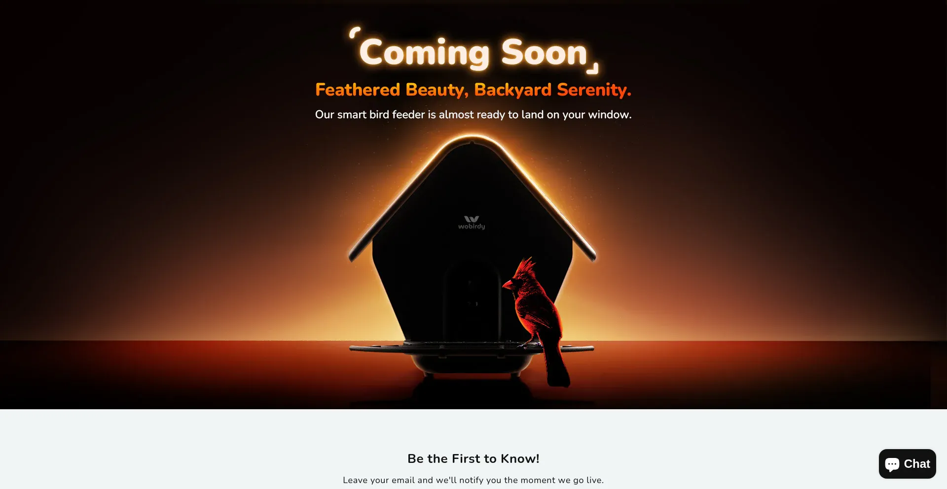 Website screenshot of Wobirdy.com