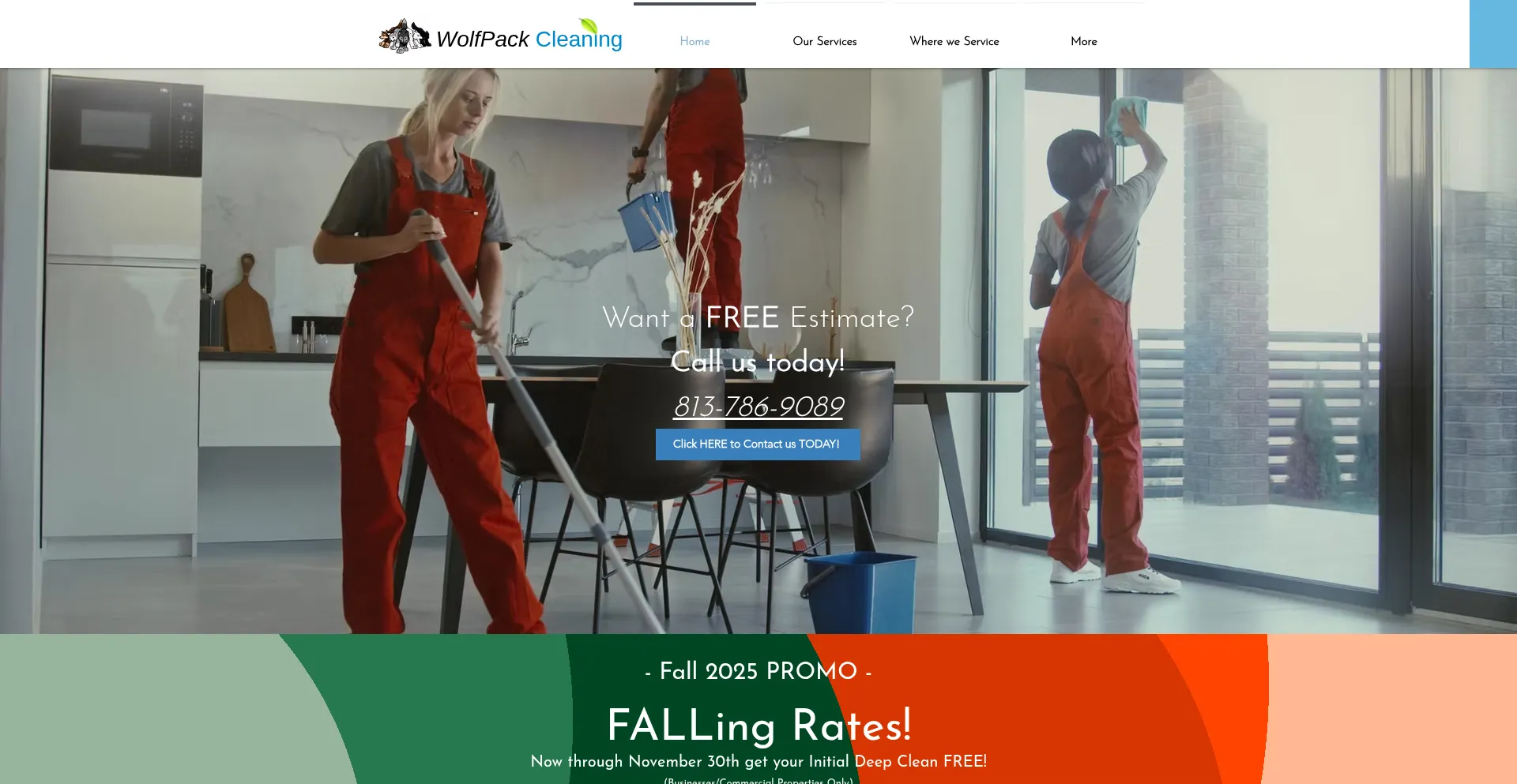 Wolfpackcleaning.com