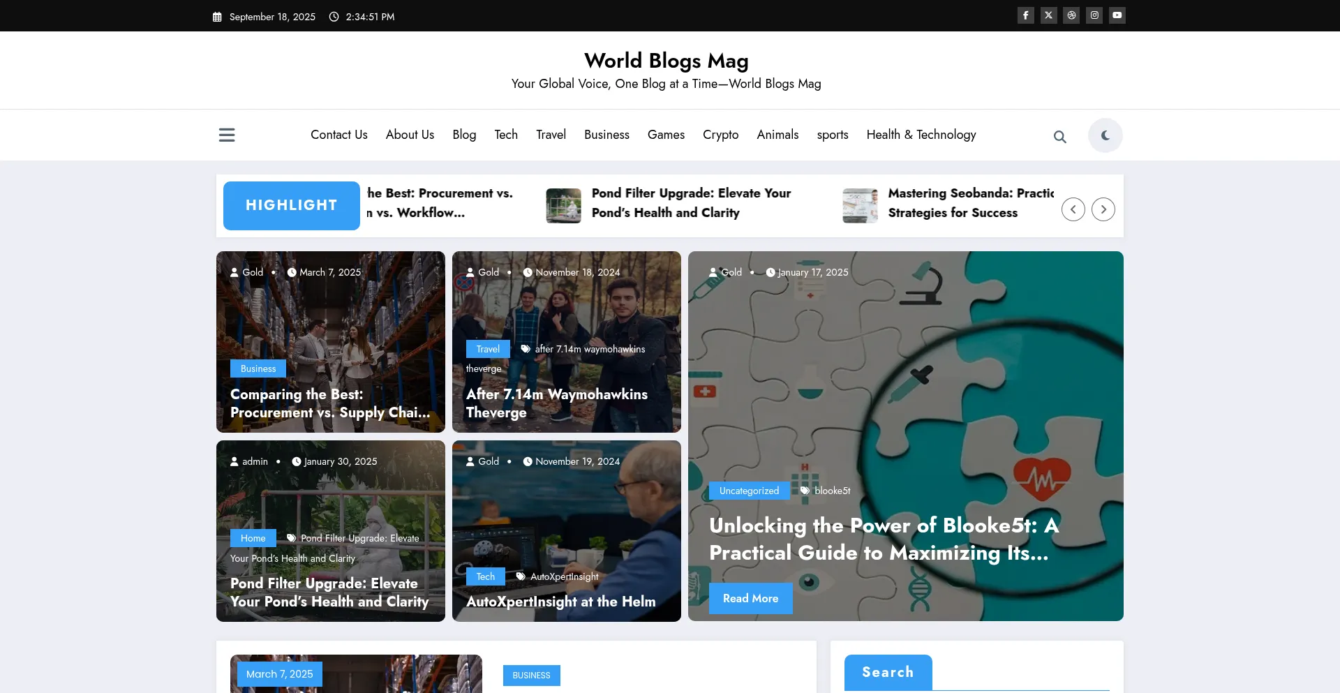 Worldblogsmag.com est-il Sûr et Fiable ?