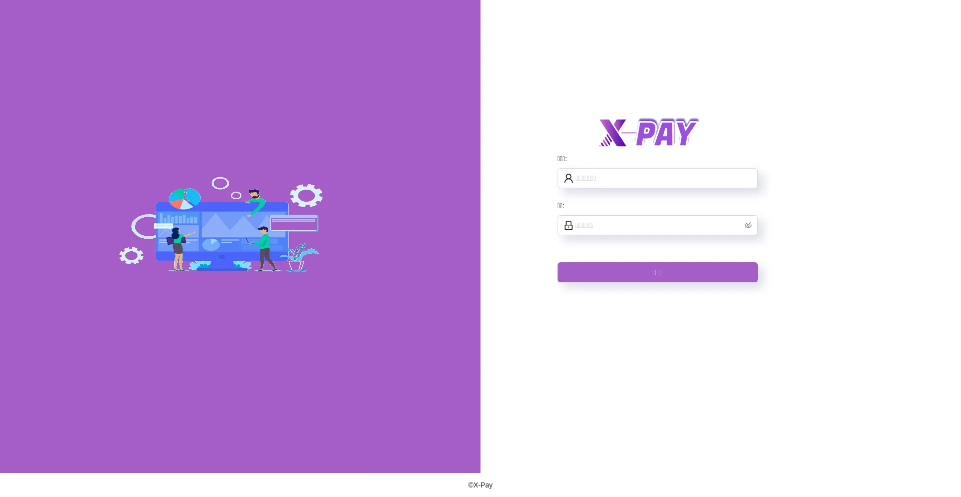 Website screenshot of X-pay.one