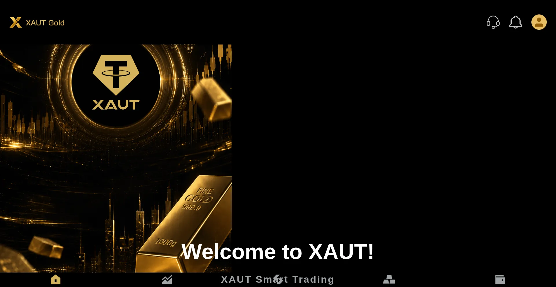Xautcoin.top