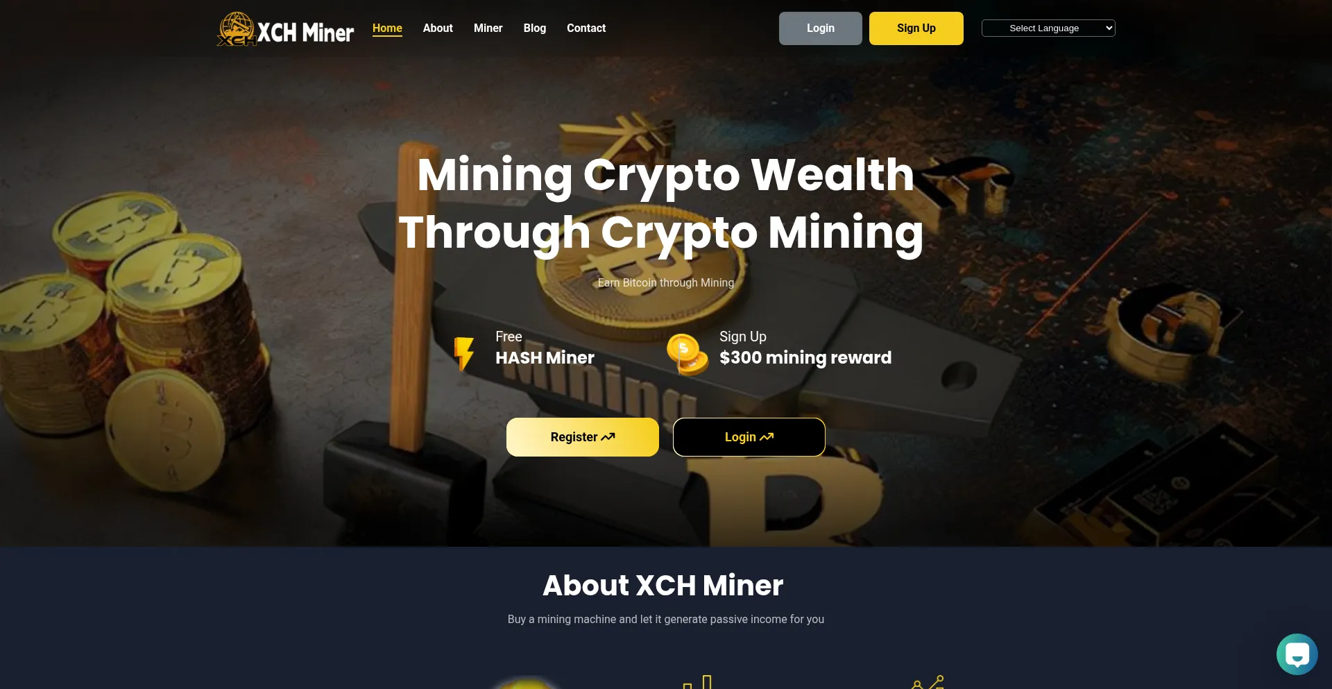 Website screenshot of Xchminer.com
