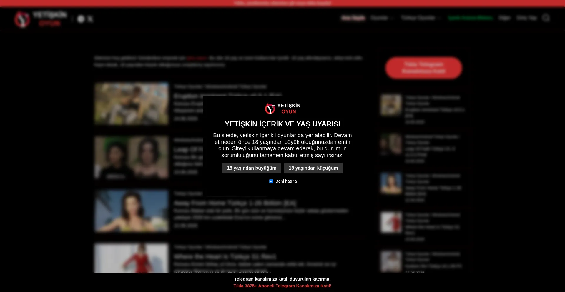 Website screenshot of Yetiskinoyun.com