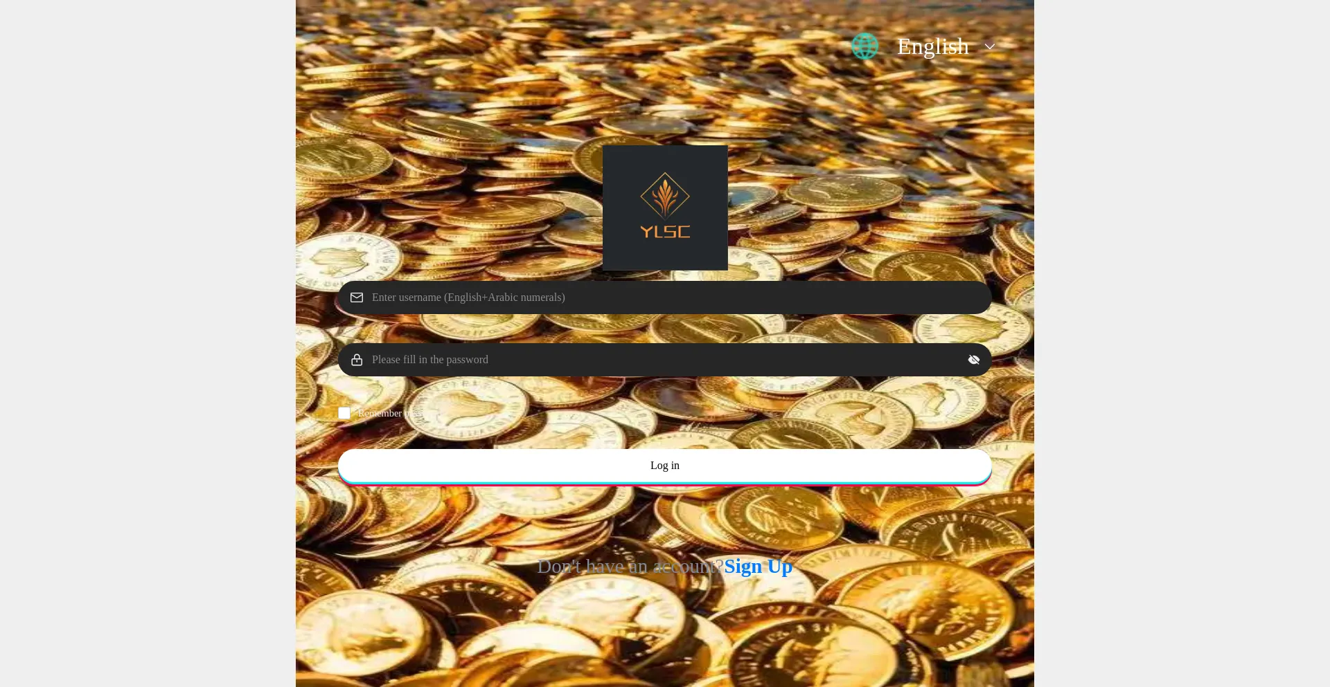 Website screenshot of Ylsc.shop