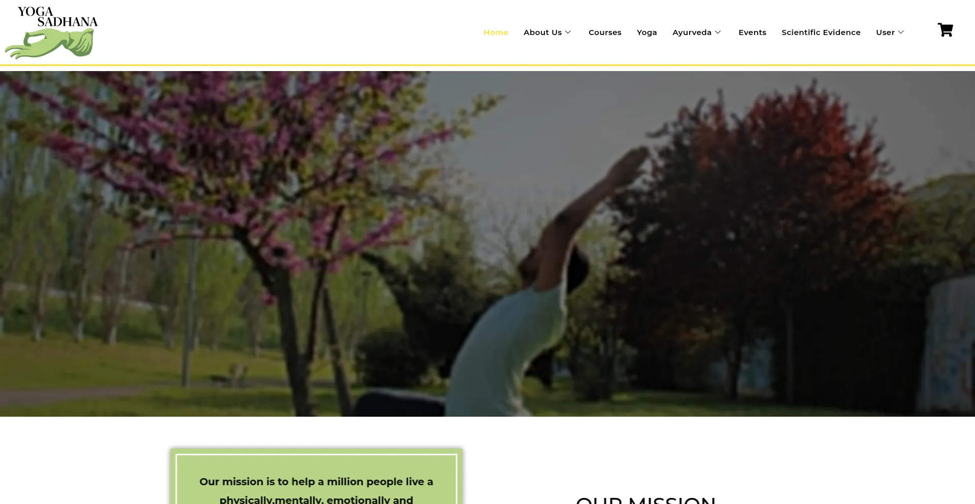 Yogasadhana.org