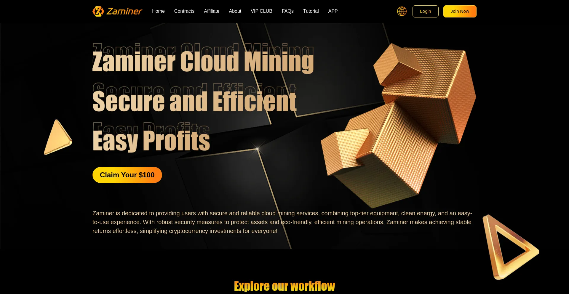 Website screenshot of Zaminer.info