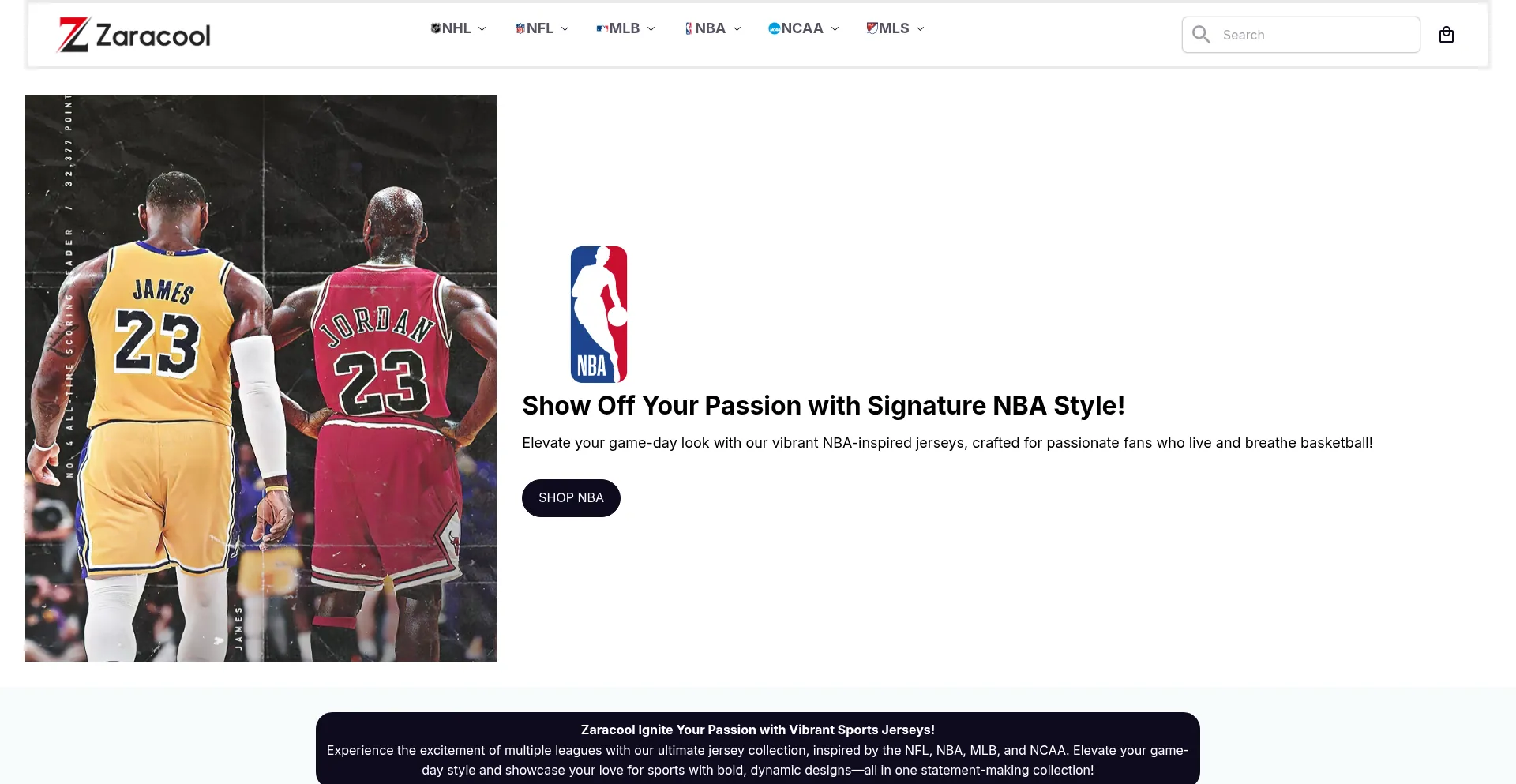 Website screenshot of Zaracool.com