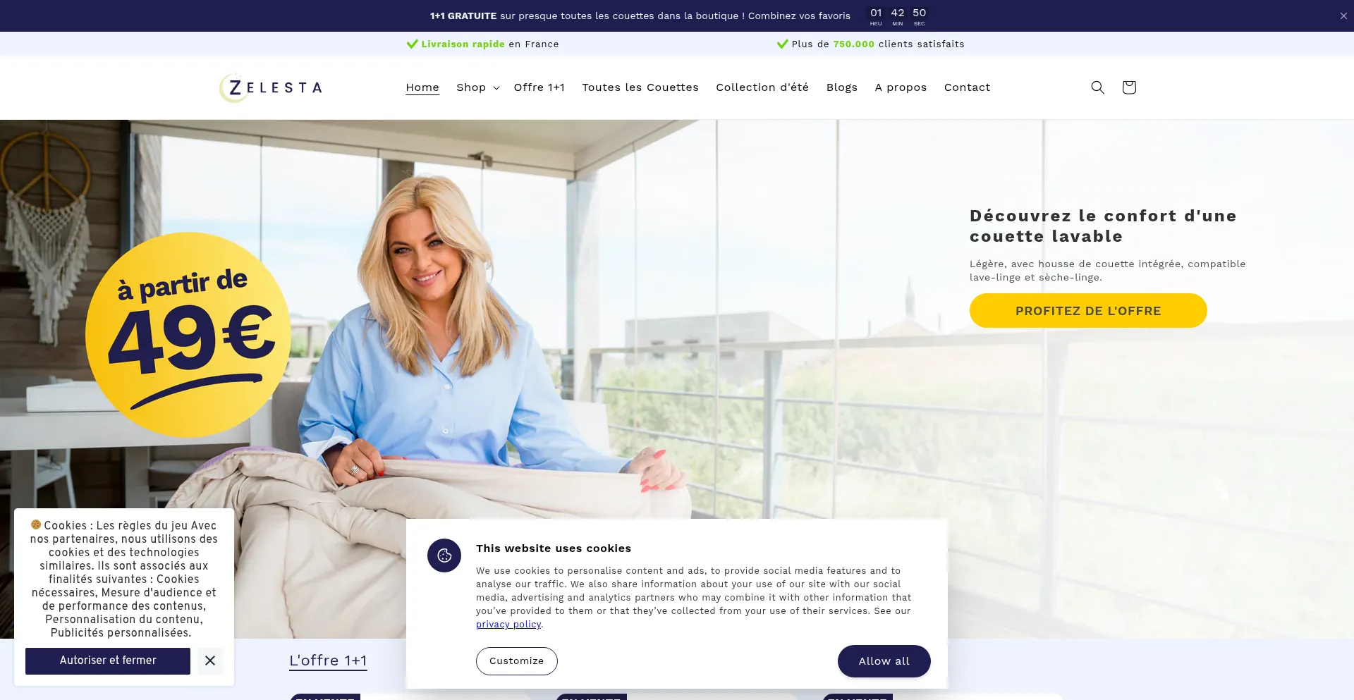 Website screenshot of Zelesta.fr