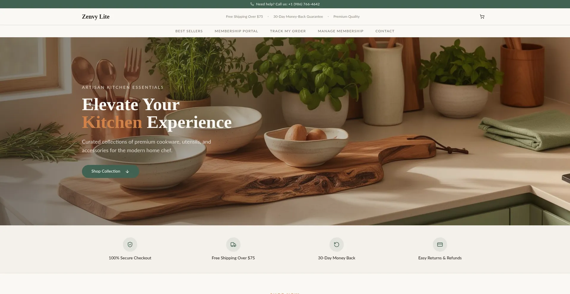 Zenvylite.com