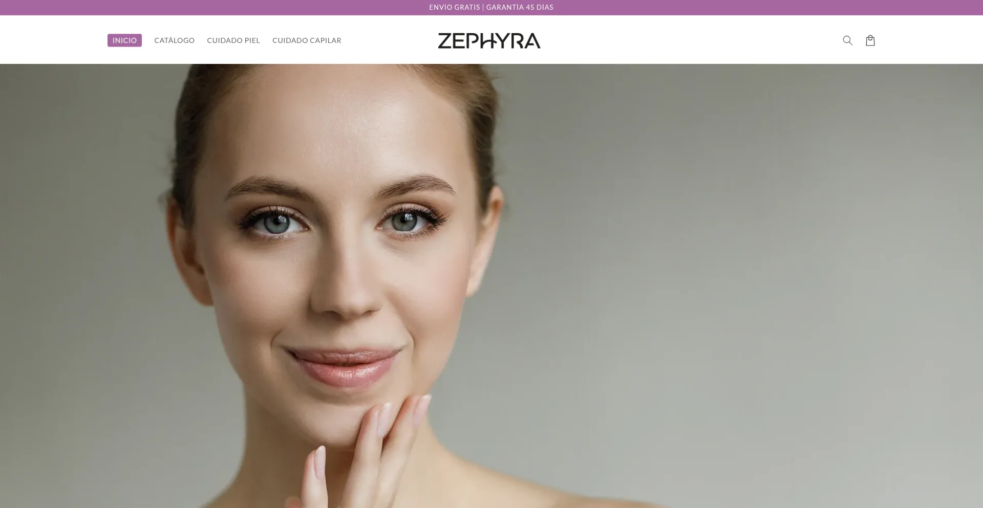 Website screenshot of Zephyrachile.com