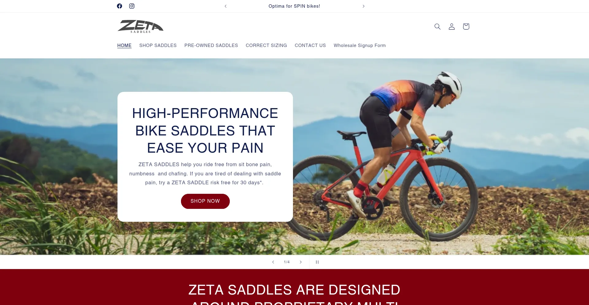 Website screenshot of Zetasaddles.com