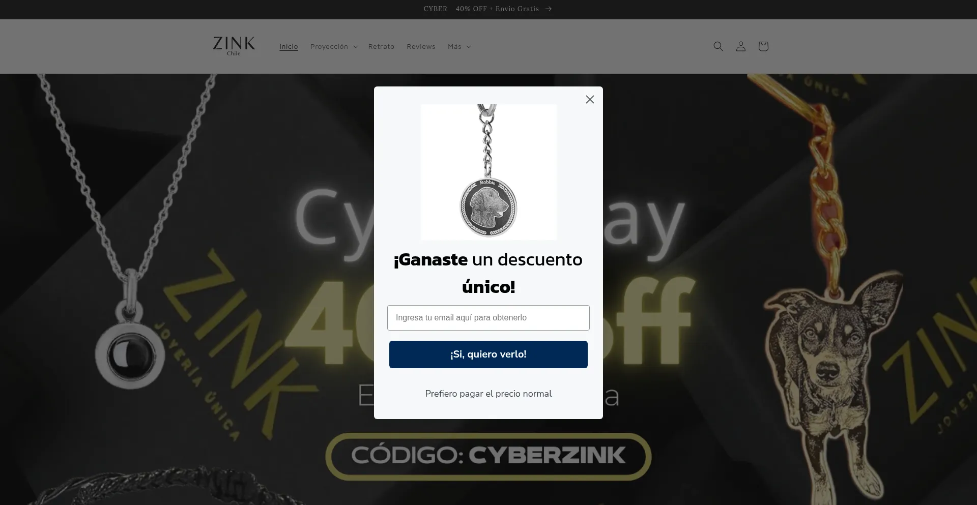 Zinkchile.com