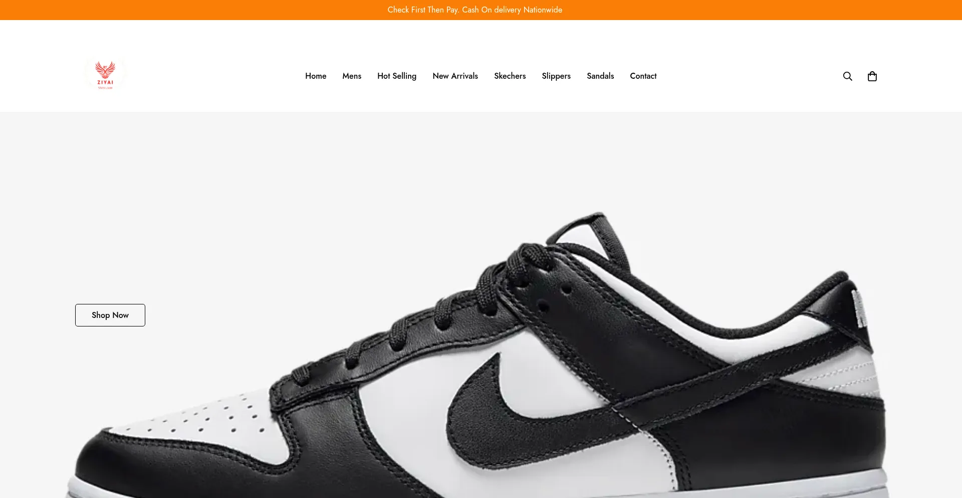 Website screenshot of Ziyaistore.com