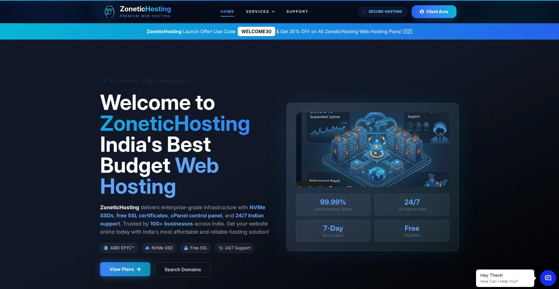 Zonetichosting.com