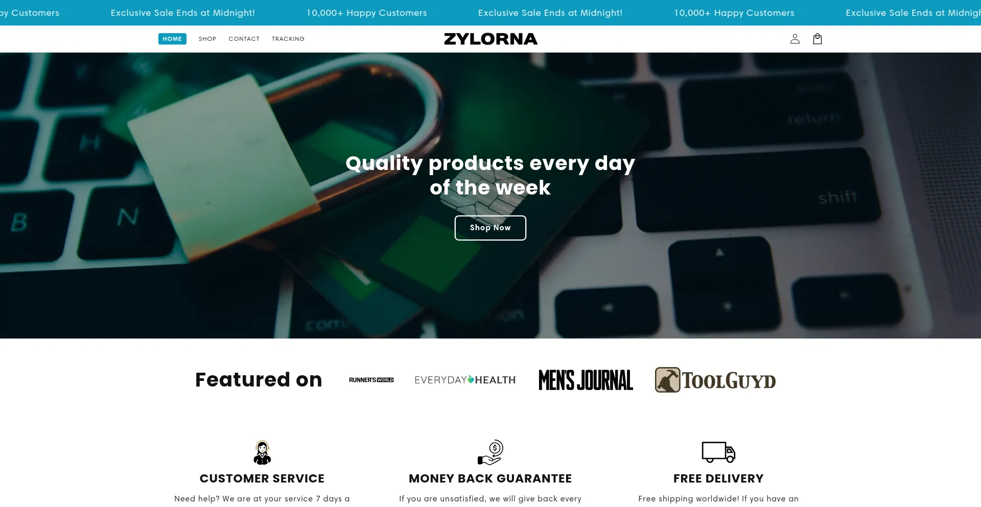 Website screenshot of Zylorna.com