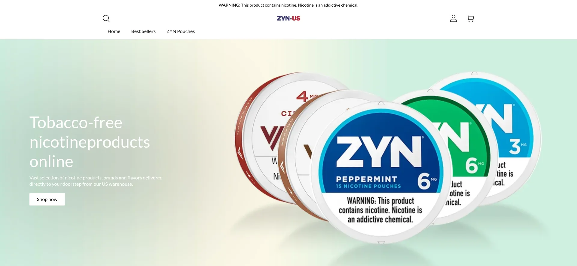 Website screenshot of Zyn-us.com
